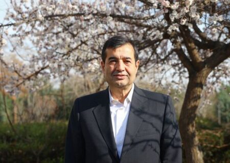دنیامالی: معلولان سرمایه‌های انسانی ارزشمند هستند، نه باری بر دوش جامعه