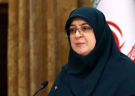 سخنگوی دولت: دولت به دنبال کنترل قیمت‌هاست