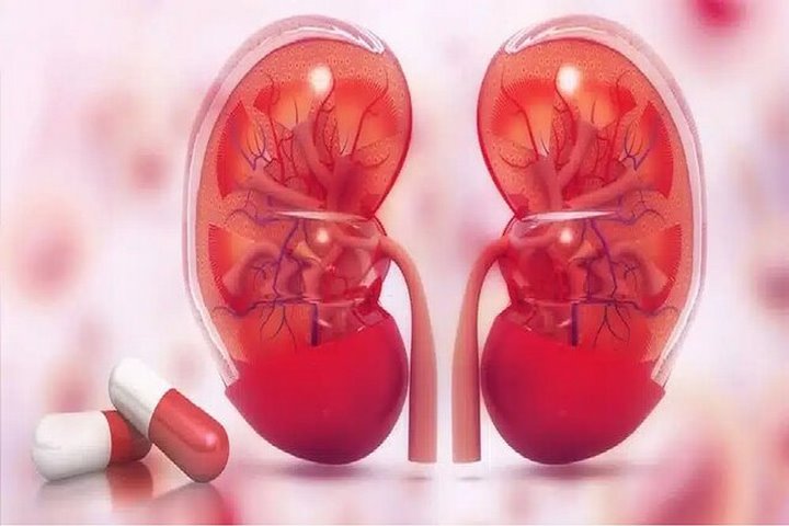 تولید اولین مولکول داروی کاهش رد پیوند کلیه