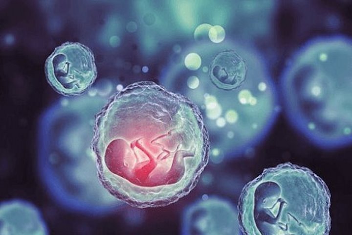 استفاده از سلول‌های بنیادی خون قاعدگی در درمان اختلالات تولید مثل