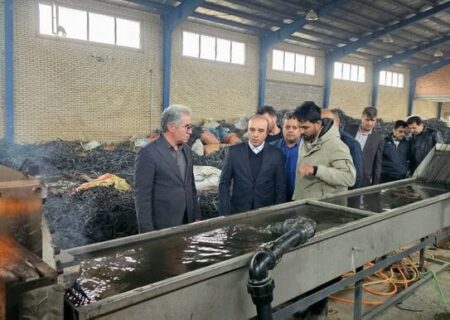 بازدید معاون استاندار اردبیل از طرح‌های اقتصادی ناحیه صنعتی رضی