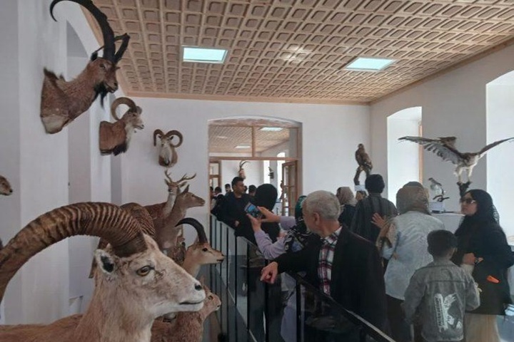 موزه حیات وحش البرز با 250 گونه جانوری باز سازی شد
