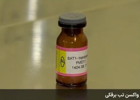 واکسن جدید تب برفکی با ویروس غیر بومی SAT1 را پس از تایید سازمان دامپزشکی تولید می کنیم
