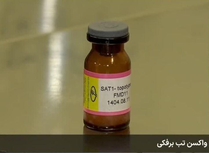 واکسن جدید تب برفکی با ویروس غیر بومی SAT1 را پس از تایید سازمان دامپزشکی تولید می کنیم