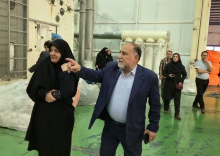 پرداخت ۸۰ میلیارد ریال حمایت بیمه‌ای برای اشتغال معلولان