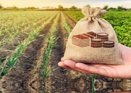 ضرورت افزایش اعتبارات صندوق بیمه کشاورزی و تأمین امنیت غذایی