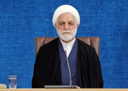 اژه‌ای: رویکرد دستگاه نظارتی باید اصلاح باشد نه مچ‌گیری