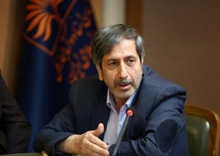 ظریفیان: دولت وضعیت واقعی کشور را شجاعانه با تصمیم‌سازان عالی مطرح کند