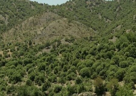 بدون مشارکت مردم هیچ برنامه حفاظتی در زاگرس موفق نمی‌شود