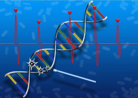 ابداع اولین داروی ترمیم DNA و بازسازی بافت آسیب‌دیده