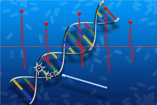 ابداع اولین داروی ترمیم DNA و بازسازی بافت آسیب‌دیده
