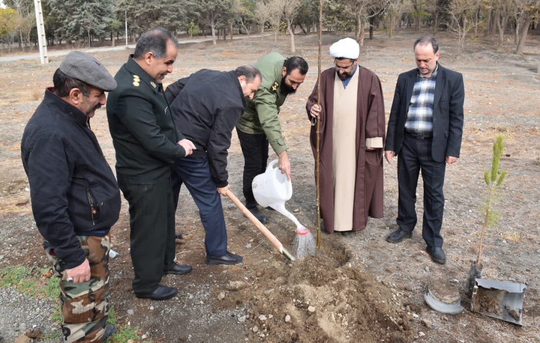 امسال در استان بیش از ۶۰۰ هزار اصله نهال کاشته خواهد شد