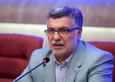 ظفرقندی: تعرفه های ۱۴۰۵ هنوز به دولت نرسیده است