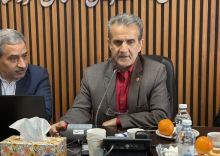 معاون سلامت اجتماعی بهزیستی کشور: سلامت اجتماعی نیازمند نگاه پیشگیرانه و نیازمحور است