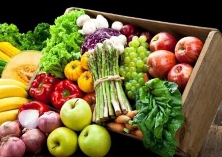 تسهیل صادرات و واردات مواد غذایی با سامانه‌های الکترونیکی جدید
