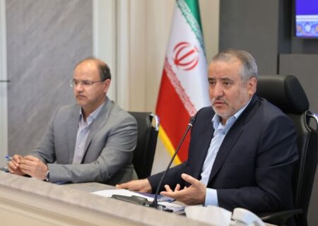 استاندار خراسان جنوبی: بیش از ۸۰ درصد مصوبات کارگروه تسهیل و رفع موانع تولید محقق شده است