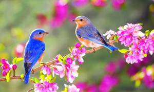 ز کوی یار میآید نسیم باد نوروزی