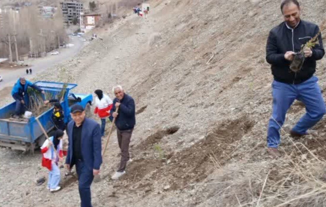 کاشت ۴۰۰۰ اصله نهال جنگلی در روستای ولایترود کرج