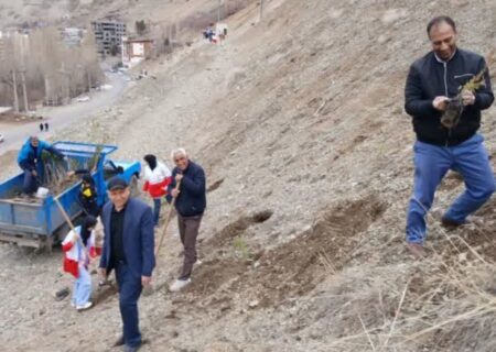 کاشت ۴۰۰۰ اصله نهال جنگلی در روستای ولایترود کرج