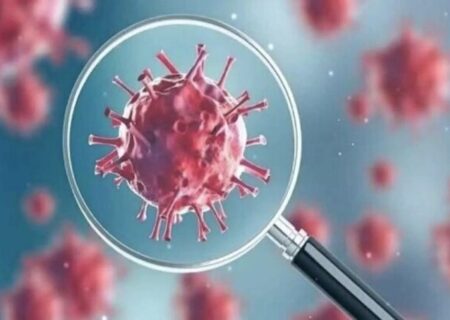 توضیح وزارت بهداشت درباره سویه «سیکادا» کرونا