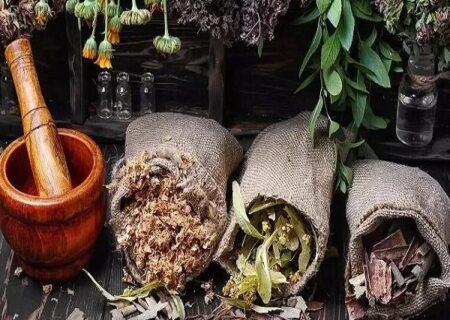 طراحی و ساخت اپلیکیشن شناسایی و تشخیص تقلب‌ در گیاهان دارویی