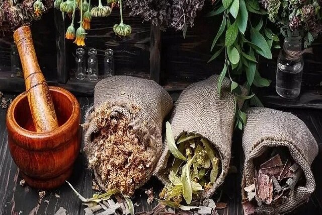 طراحی و ساخت اپلیکیشن شناسایی و تشخیص تقلب در گیاهان دارویی