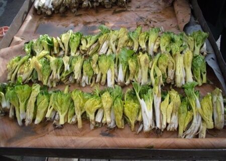  «کلوس»؛ گیاه گران‌بهای برف‌زاد چهارمحال‌وبختیاری
