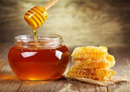 آذربایجان‌غربی پایتخت صنعت زنبورداری کشور؛ برند سازی حلقه مفقوده