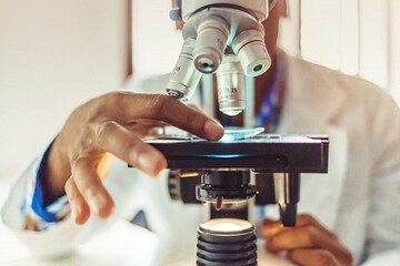 ایجاد دوره‌ دکتری ۲ساله پژوهش‌محور؛ حمایت از آزمایشگاه تحقیقاتی اساتید