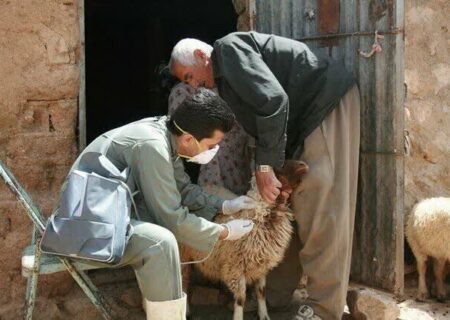 کاهش ۲۸ درصدی بیماری‌های دامی در مازندران