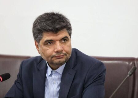 حسینی: وجود مراکز استقبال از زائر در ورودی مشهد یک ضرورت است