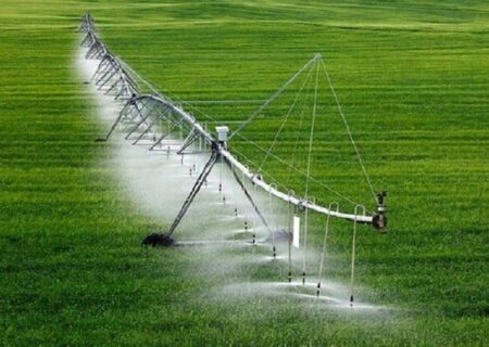 تجهیز ۲۹ هزار هکتار از شالیزارهای گیلان به سامانه های نوین آبیاری