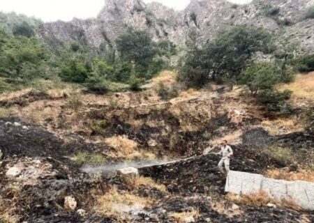 آتش‌سوزی در ۳۰ هکتار از مراتع شهرستان پلدخترمهار شد