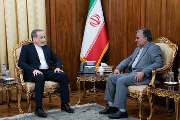  دیدار رئیس دفتر حفاظت منافع ایران در قاهره با عراقچی
