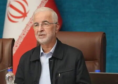 مومنی: فرد یا جریانی که سرمایه وحدت ملی را تضعیف کند، به منافع ملی آسیب رسانده است