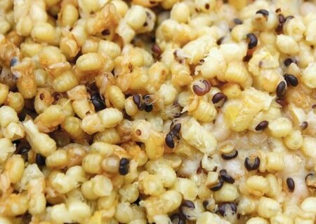 لارو و شفیره زنبور عسل؛ منبعی مغذی با ظرفیت غذایی بالا