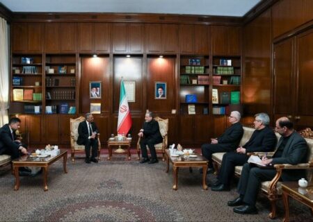 Araghchi thanks for D-8 stances towards aggression on Iran