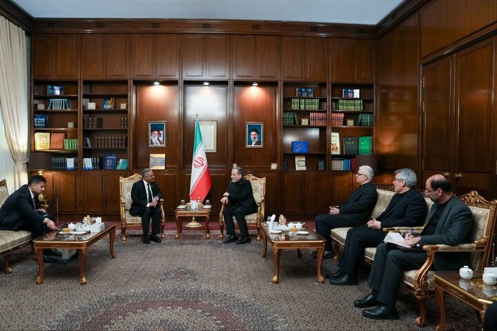 Araghchi thanks for D-8 stances towards aggression on Iran