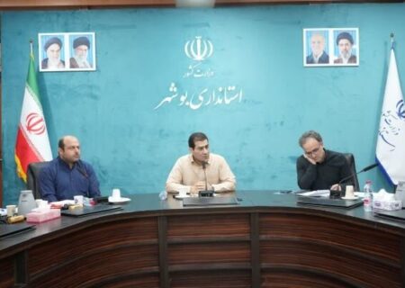 تأکید معاون استاندار بوشهر بر روایت مؤثر خدمات در هفته دولت