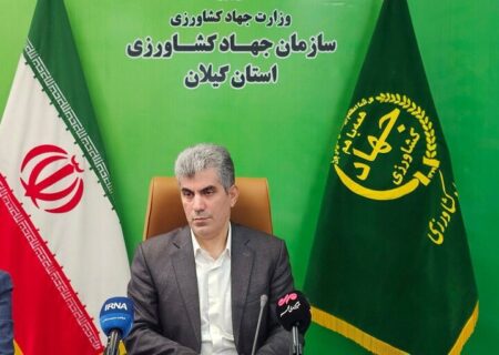 محمدی: سالانه ۶.۶ میلیون تن محصول کشاورزی در گیلان تولید می‌شود