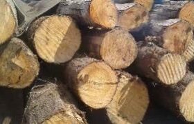 کشف 50 تن چوب قاچاق در چهارباغ