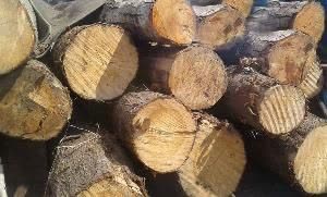 کشف 50 تن چوب قاچاق در چهارباغ