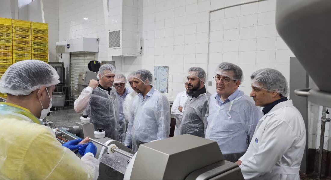 نظارت بازرسان کل کشور بر چرخه تولید فرآوردههای خام دامی در استان البرز