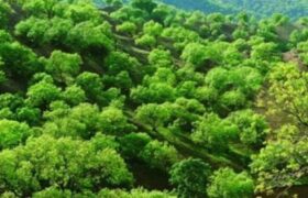 طبیعت بکر، بومگردی‌های نوپا و گردشگری سلامت؛ سه ضلع مثلث گردشگری ایلام