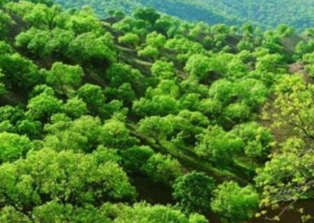 طبیعت بکر، بومگردی‌های نوپا و گردشگری سلامت؛ سه ضلع مثلث گردشگری ایلام