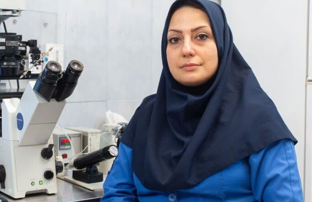 جهاد دانشگاهی قم در مسیر بهره‌گیری از هوش مصنوعی در درمان ناباروری