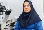 جهاد دانشگاهی قم در مسیر بهرهگیری از هوش مصنوعی در درمان ناباروری