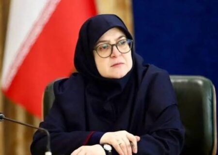 مهاجرانی: شرط تداوم یارانه نقدی و کالابرگ اقامت در ایران است