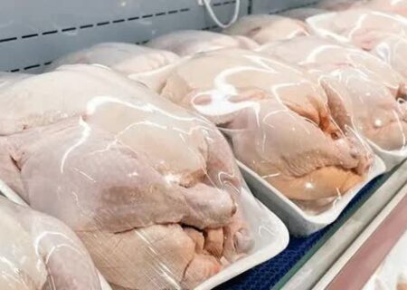 ماجرای ۲۰۰۰ تن مرغ تاریخ گذشته در تهران چه بود؟