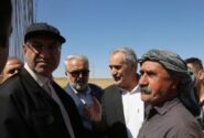 رونق کشت آفتابگردان آجیلی در دهگلان